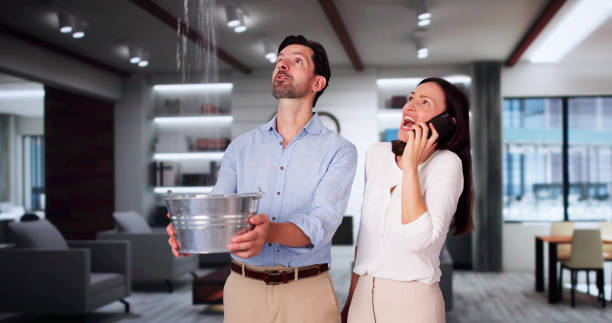 Reliable Linthicum, MD Water damage restoration Solutions